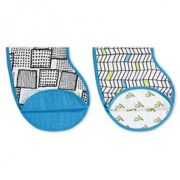Aden and Anais Whiz Kid 2 Pack Classic Burpy Bibs 