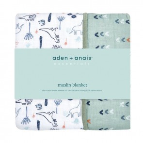 Aden and Anais Essentials Dinotime Classic Dream Blanket