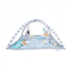 Childcare Activity Gym & Play Mat