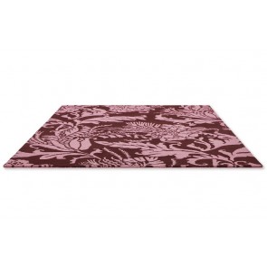 Baroque Pink 162902 Rug by Ted Baker 