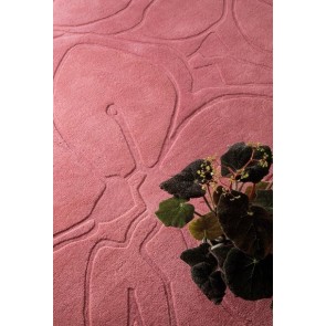 Romantic Magnolia Pink 162702 Rug by Ted Baker 
