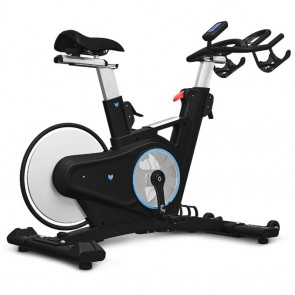 Lifespan Fitness SM-900 Commercial Magnetic Spin Bike