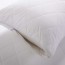 Bianca Comfort in Cotton Quilted Mattress Protector