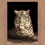 Ruby 6329 Tiger
